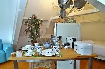 Luxury V History Written Apartament Delft