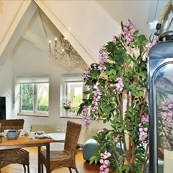 Luxury V History Written Apartament